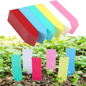 

100 Pcs Plastic Plant Seed Labels Plant Tag Pot Marker Nursery Garden Stake Tags 10cm x2cm / 5cm x7cm