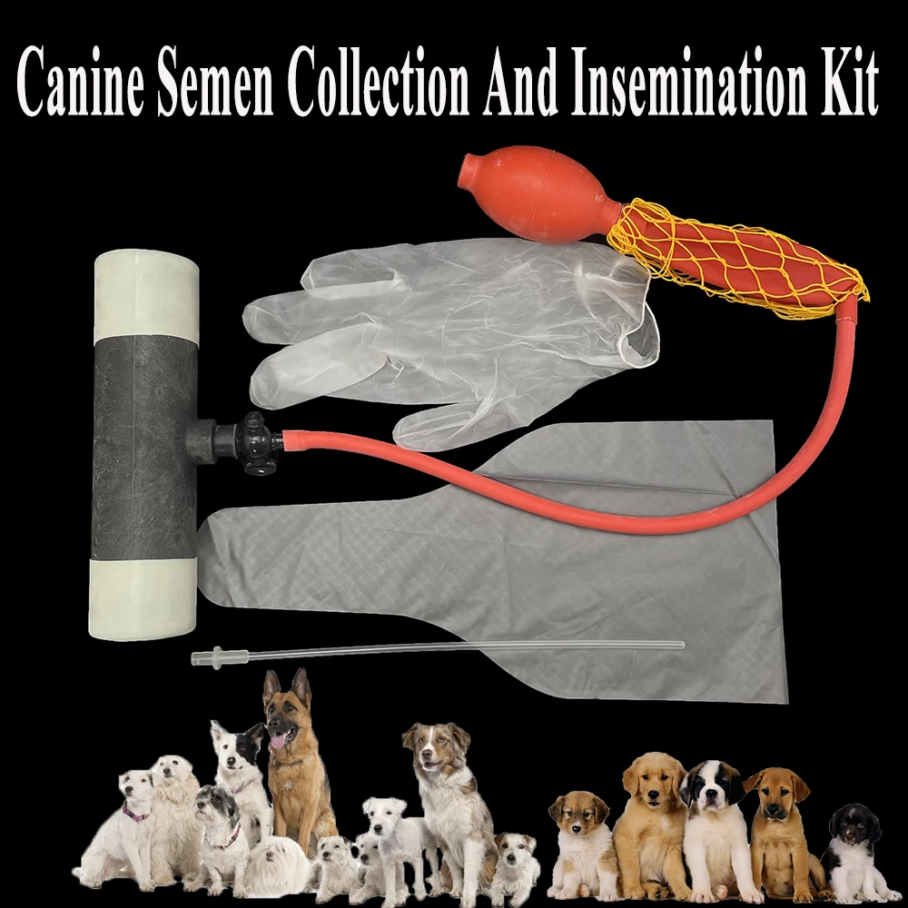 1SET Pet Canine Semen Collection Kit Collect Bag Gloves Disposable Sperm Artificial Insemination Tube Pipe Catheter Plastic