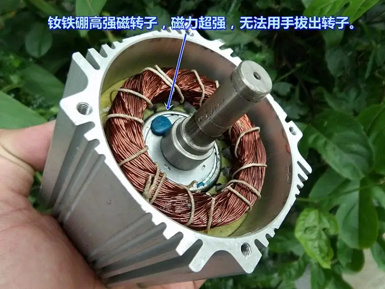 220V DC резистор высокое напряжение высокая NdFeB магнитный бесщеточный мотор сервоприводах(Джек трамвай) мотор