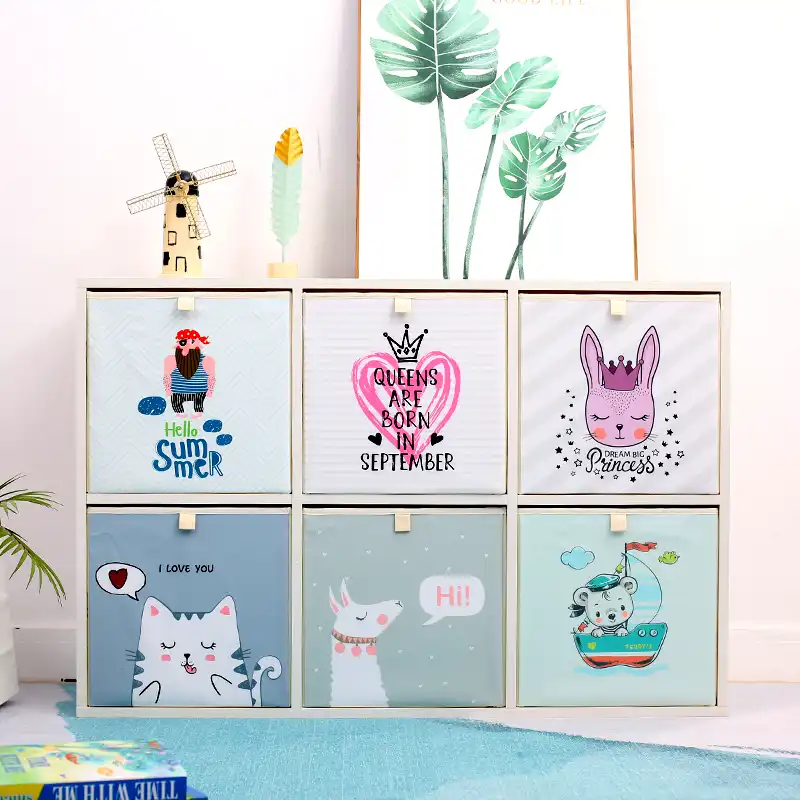 born in 2020 storage basket
