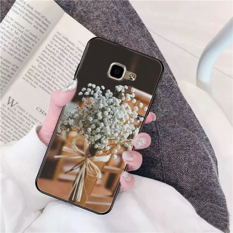 Beautiful flower Gypsophila