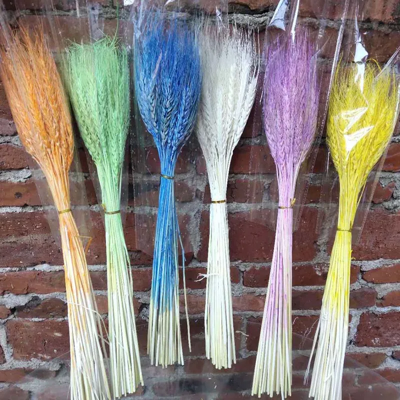 50/PSC ячмень, пшеница, сухой цветок, натуральный дом, отель, Цветочная композиция, универсальный подарок для съемки сухой пшеницы и пшеницы, композиция