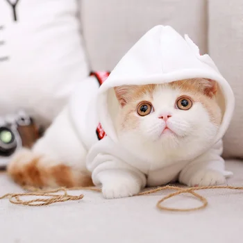

Hot Sale Pet Dog Sweater with Scarf Dog Clothes for Small Dogs Soft Pet Cat Sweaters Clothing Dog Jumper Winter Coat BB5WY015