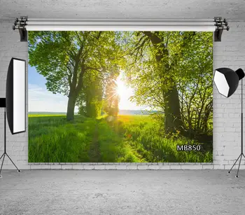 

Natural Scenery Photography Background Sunlight Green Plant Tree Spring Landscape Backdrop Decor Photocall Backdrop Photo Studio
