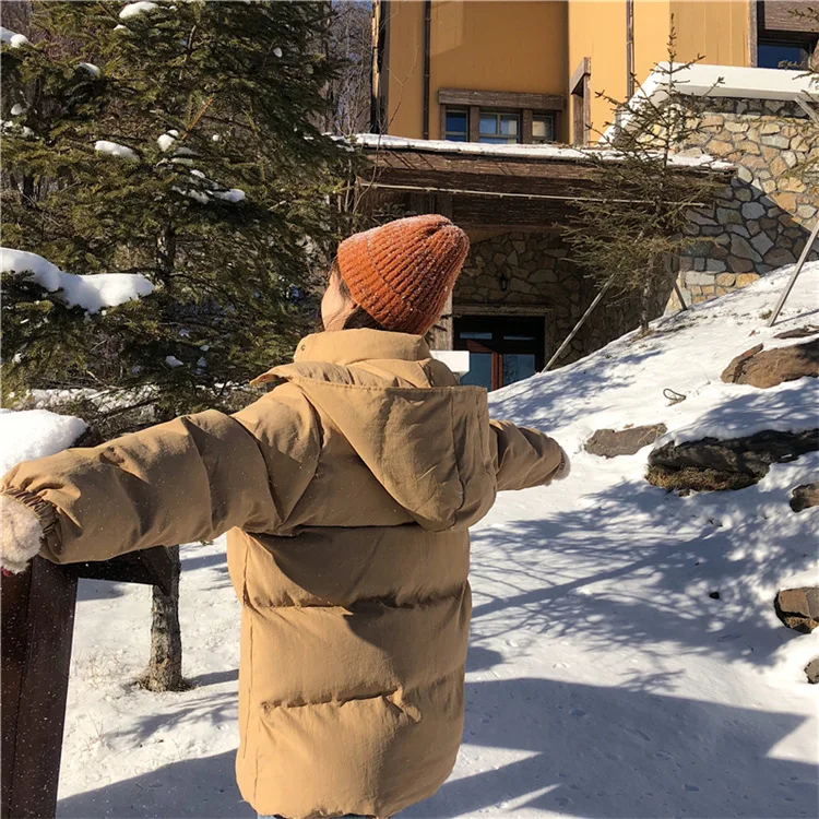 6133# Новое Стильное плотное зимнее пальто для фотосессии, однотонное теплое короткое пальто с капюшоном для студентов, шикарное хлопковое пальто для женщин