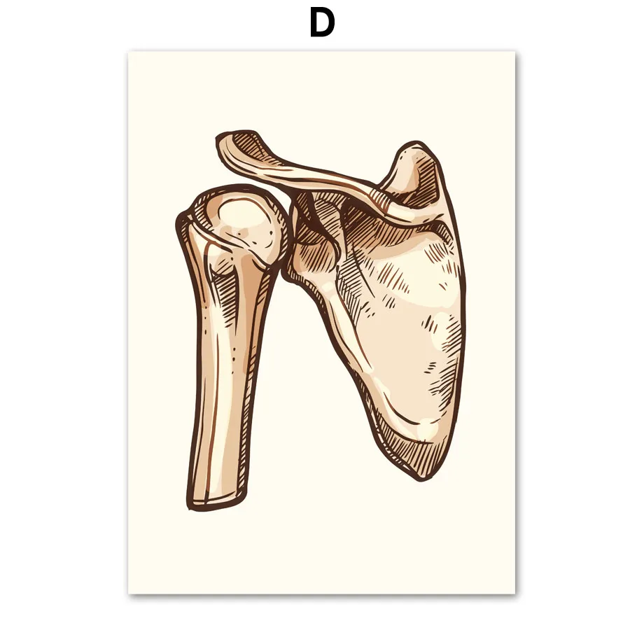 Lungs-Finger-Skull-Bone-joint-Human-Anatomy-Vintage-Wall-Art-Canvas-Painting-Nordic-Posters-Prints-Wall (6)