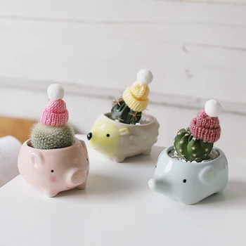 Mini Animal de cerámica lindo erizo cerdo maceta suculenta maceta para plantas y cactus, decoración de jardín accesorios macetas de ceramica