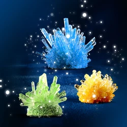 Kit de plantio de cristal, experimento de crescimento de cristal, brinquedos educativos interessantes de crianças