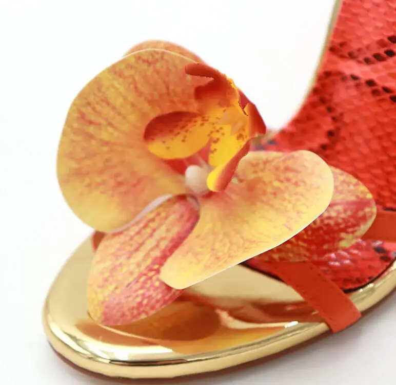 H81fb7ea80ee343509e20fd16a0546c54c