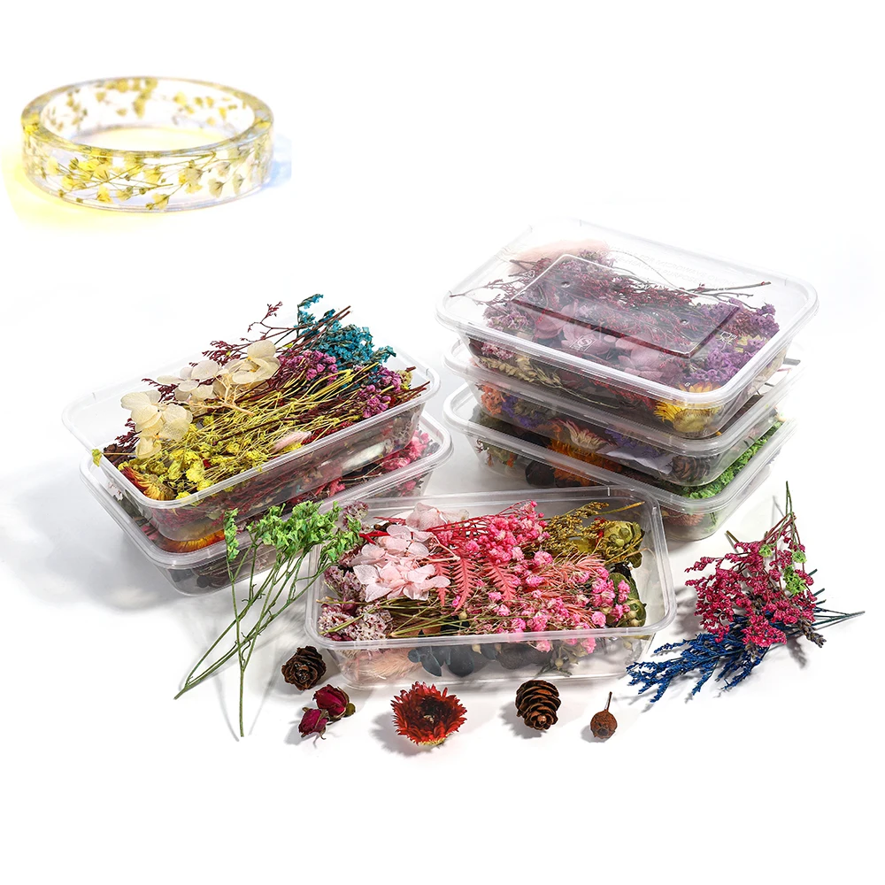 

1 Box Real Dried Flower Dry Plants For Aromatherapy Candle Epoxy Resin For Pendant Necklace DIY Jewelry Making Craft Accessories
