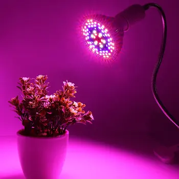 

Leds Grow Light Full Spectrum 8W-80W E26/27 Led Plant 18-120LEDs Growing Lamps Light Bulbs Greenhouse Indoor Garden AC85-265V