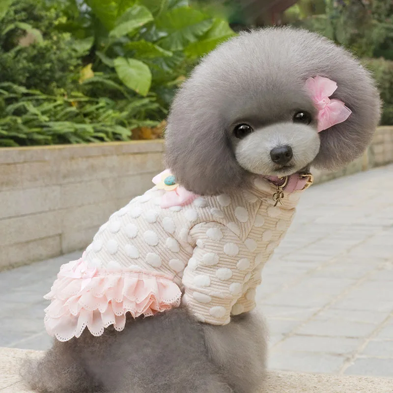 3515734368_520981800