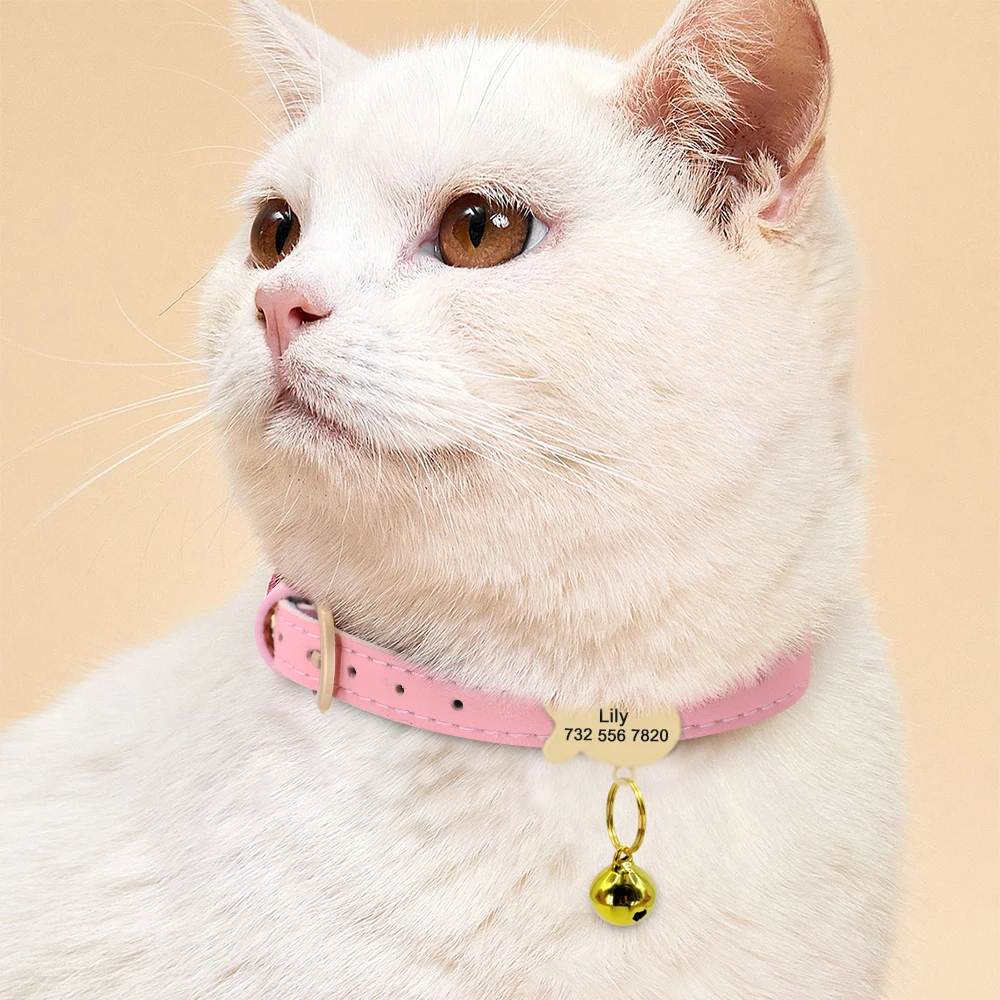 Anti-lost Dog Cat ID Tag for Collar Engraved Pet ID Tags Personalized Nameplate Fish/Bone/Cube Shape Chihuahua Free Bell Gift 6
