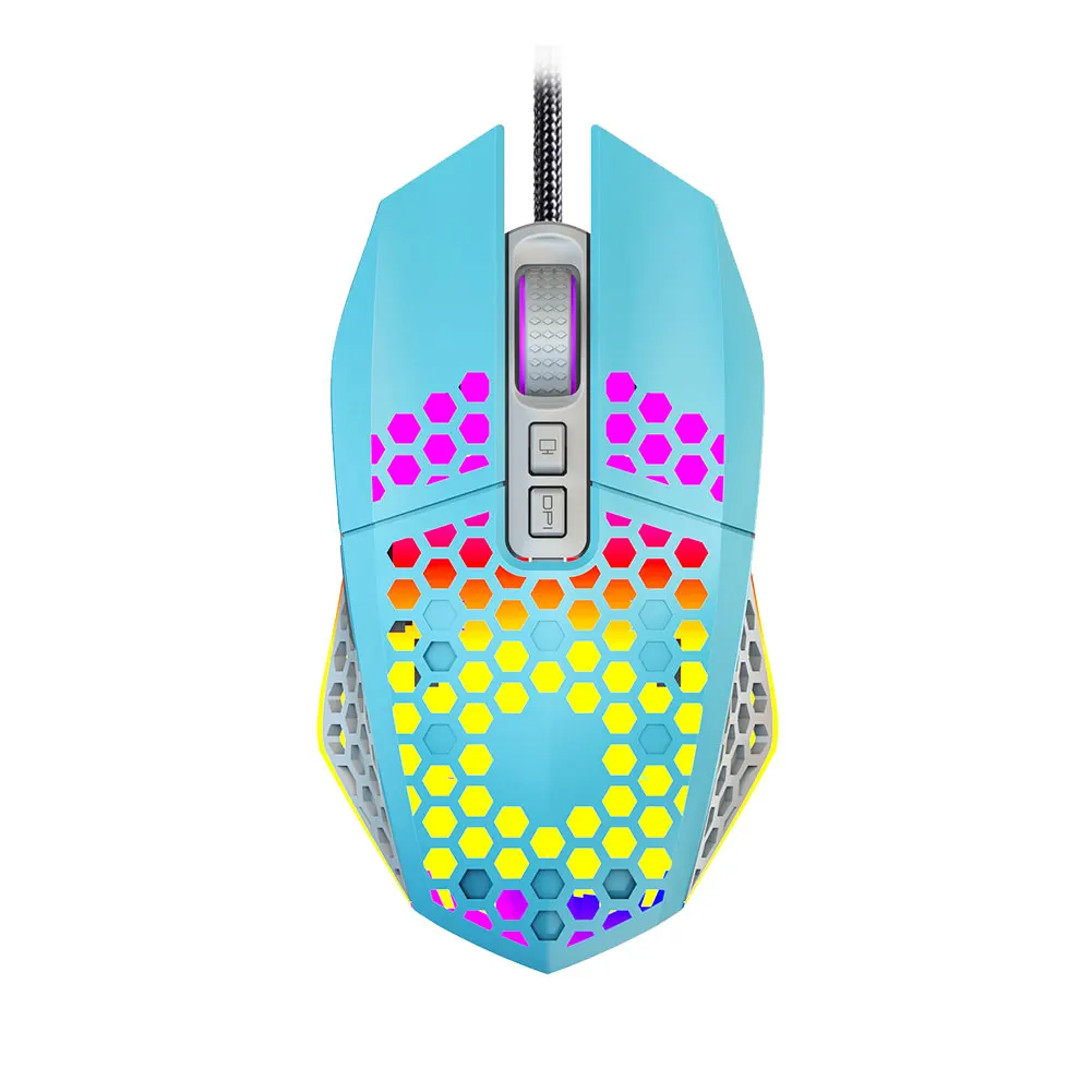 computer mouse