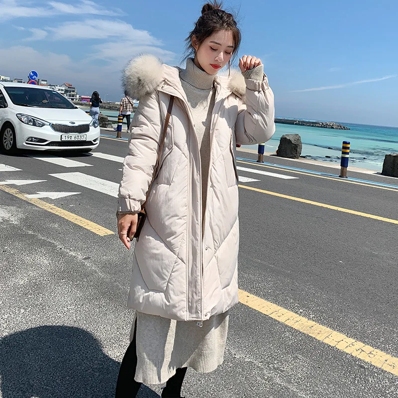 

Photo Shoot 2019 Autumn And Winter Down Jacket Women's Korean-style Large Fur Collar Fashion Loose Students Hooded Cotton-padded