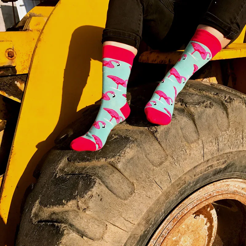 4613828934_934137848