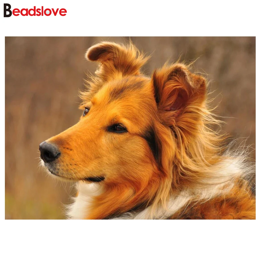 Collie 3d Diy Алмазная вышивка овчарка шелти собака искусство Вышивка крестом картина