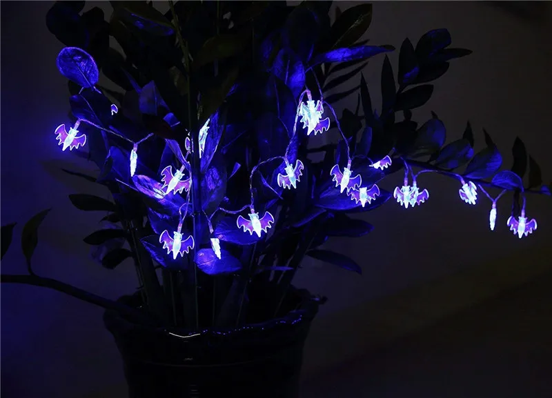 71sLrtew34L._SL1500_