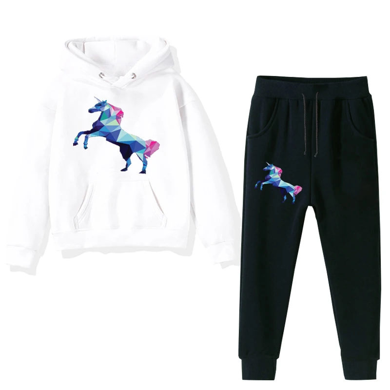 

Funny Unicorn Children Clothes Sets Boys Girls Winter Long Sleeved Hoodies+Pants 2 Pcs Toddler Baby Clothes Kids Tracksuit Suits