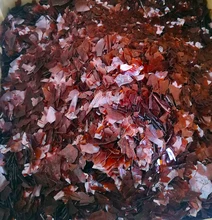 Натуральные хлопья шеллака для деревянного использования Натуральные хлопья шеллака для деревянного использования