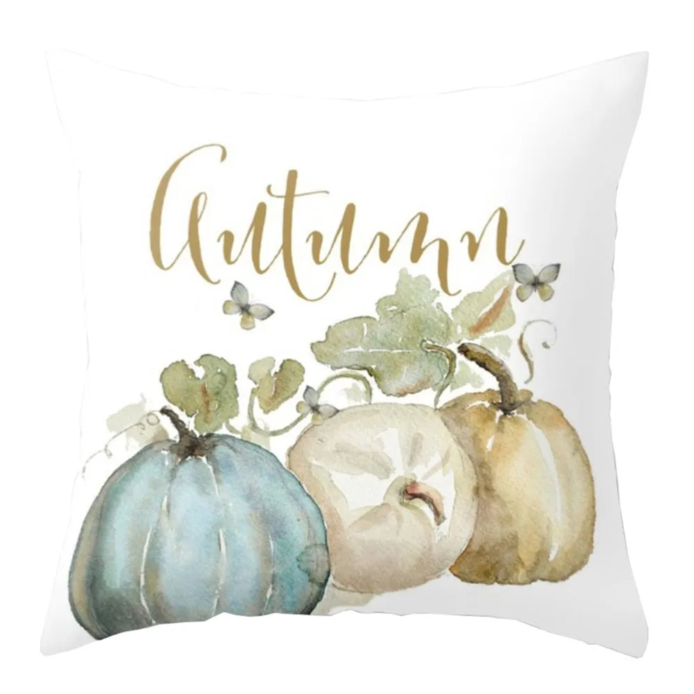 Cushion Cover (5)