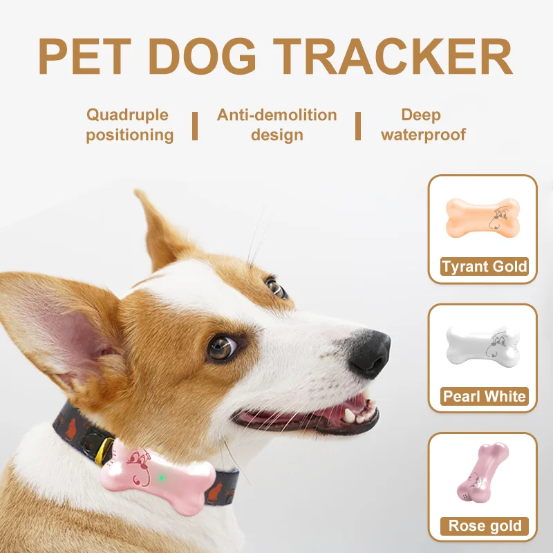 How Much Does It Cost To Put A Gps Chip In A Dog