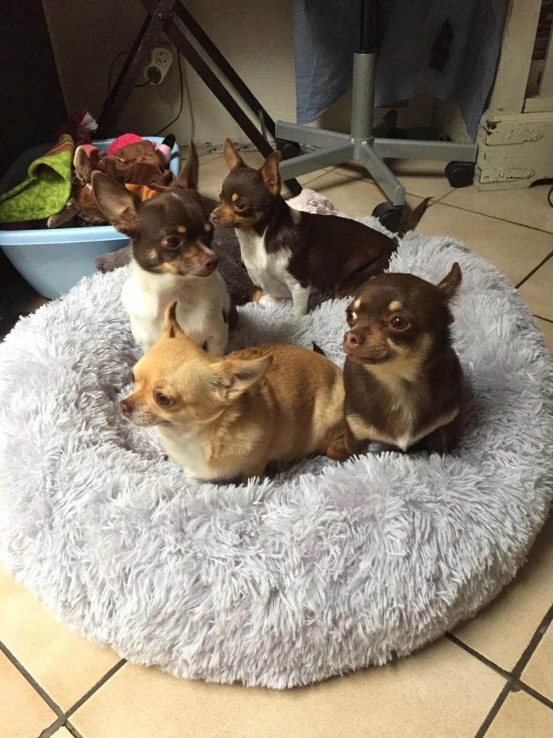 Теплая круглая кровать для собаки 7 размеров круглая подушка для шезлонга для маленьких средних и больших собак и кошек зимняя собачья Конура коврик для щенка кровать для питомца