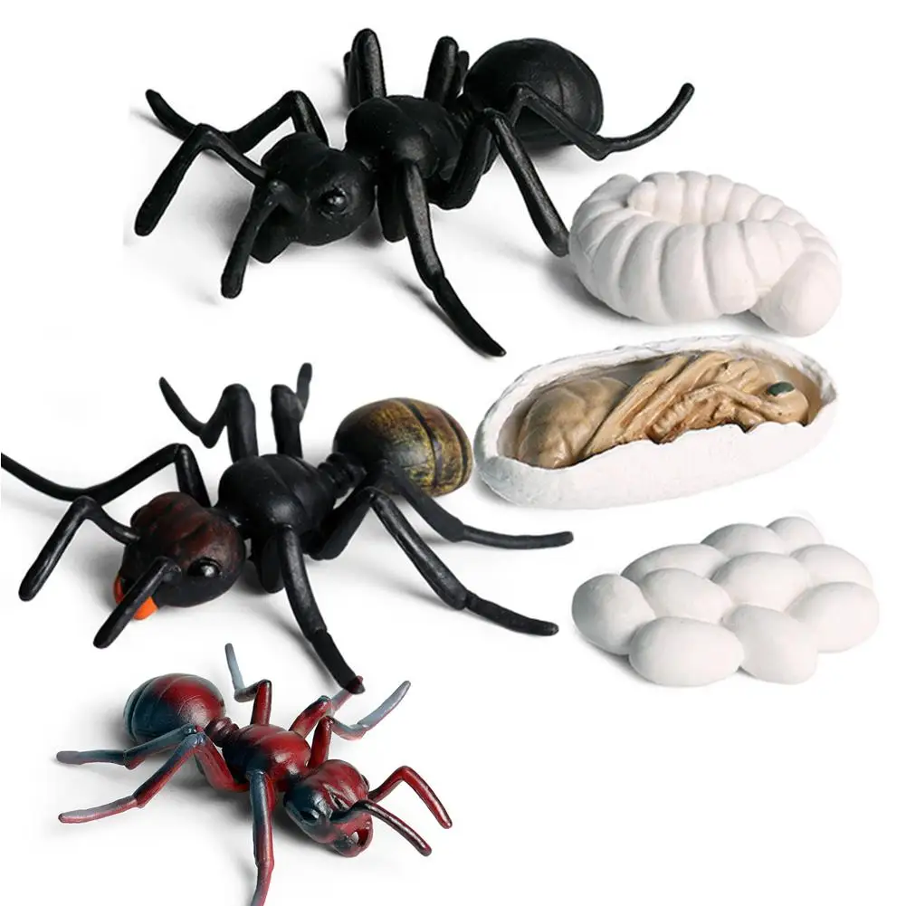 

Simulation Insects Animals Life Growth Cycle Model Mini Size Frog Chicken Turtle Ant Biologtic Education Toys for Kids Gift