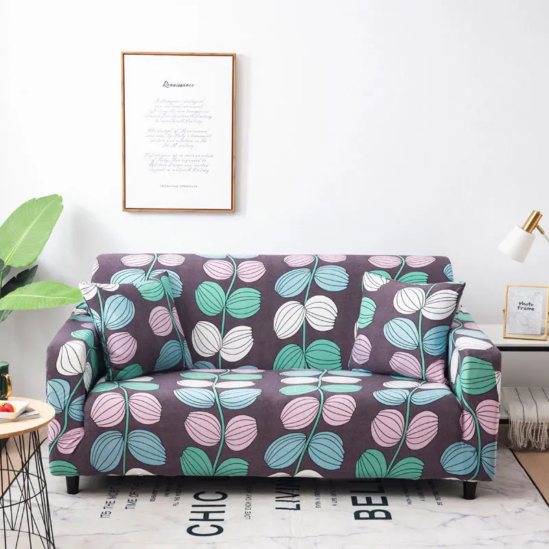 13019491854_2088999885