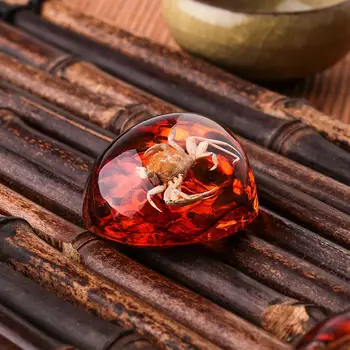 

Decorations Gift Insects Amber Pendant DIY Crafts Gifts Beautiful Originality Ornament Necklace Clothes Fashion 5.5*4*2CM