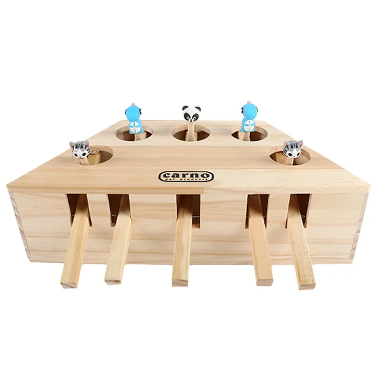 10494155601_1475376434