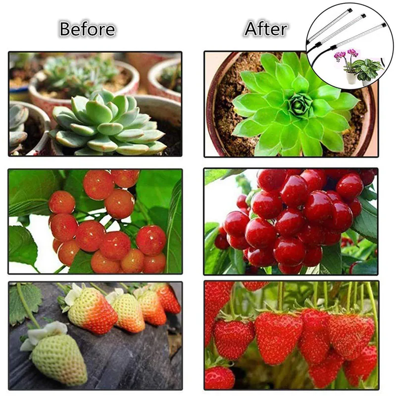 Najtaniej 5V USB oświetlenie LED do uprawy LED Full Spectrum lampa fito phyto lampa do wnętrz warzyw kwiat roślina pudełko w kształcie namiotu