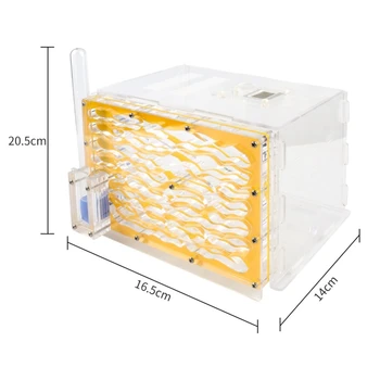 

DIY Moisture with Feeding Area Ant Nest Ant Farm Acrylic Ant Nests Villa Pet for House Ants Ant Workshop Ant Nest Science Puzzle