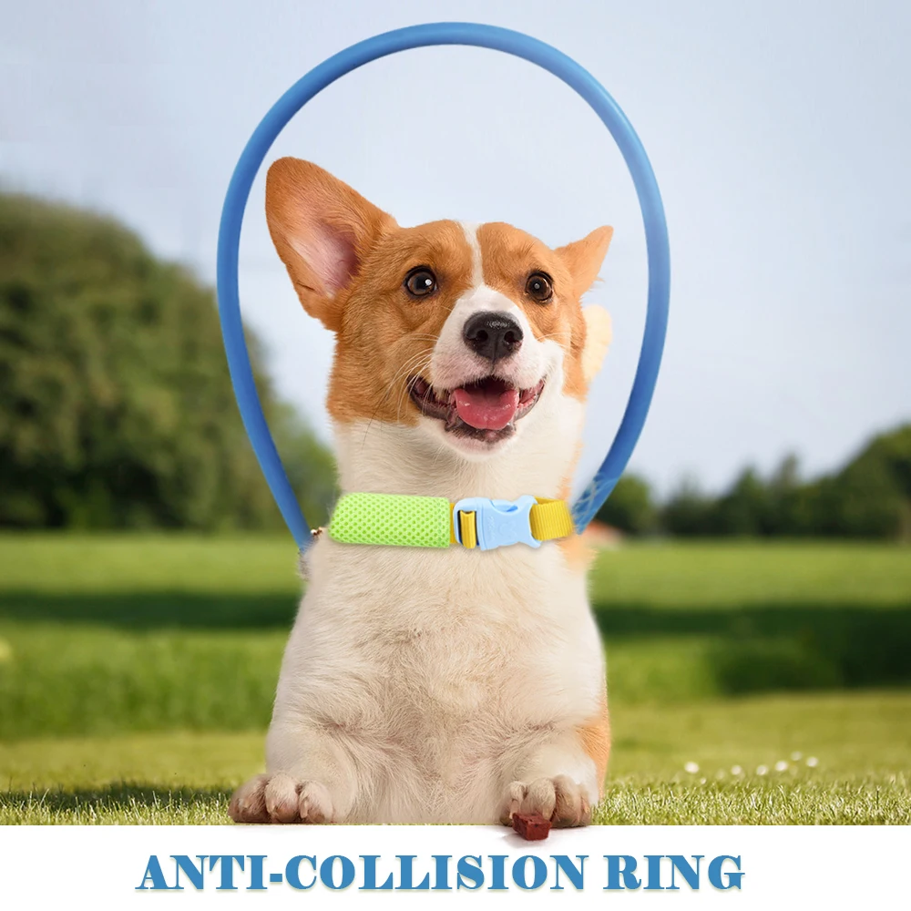 

Blind Pet Anti-collision Collar Dog Guide Training Behavior Aids fit small big Dogs Prevent Collision collars supplies