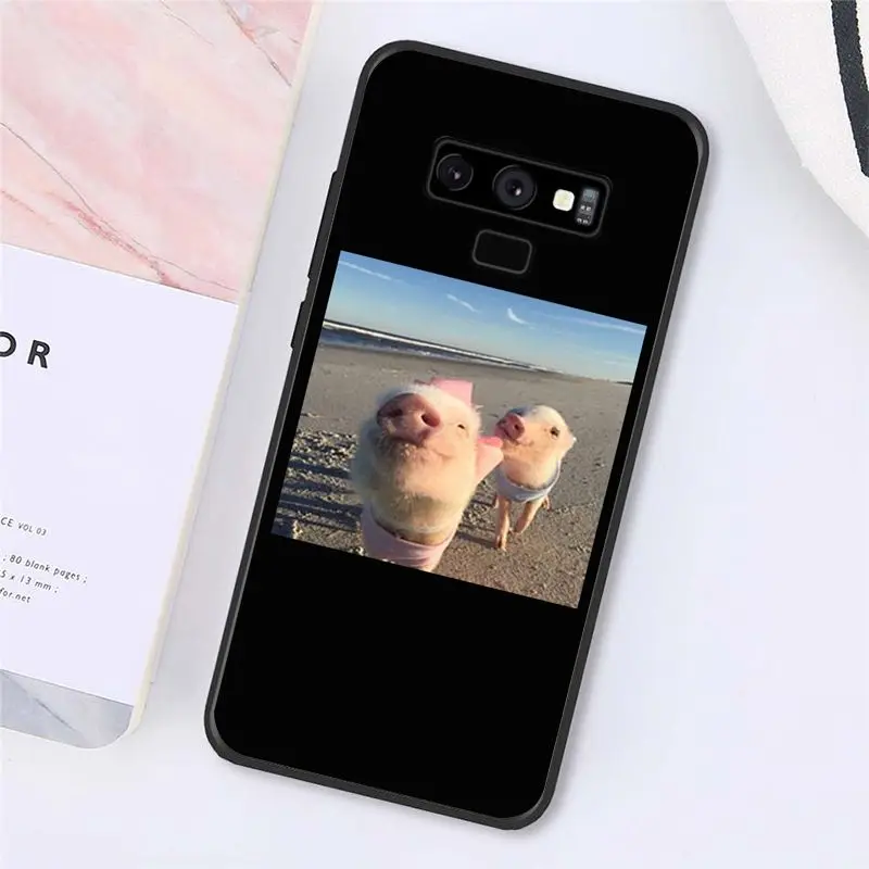 Cute Little Pink Pet Pig
