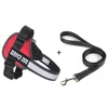red and leash