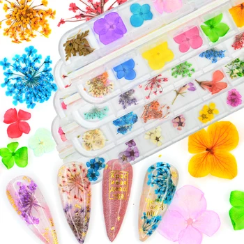 

Nail Dried Flower Real Floral 3D Nail Art Decorations UV Gel Polish Natural Floral Sticker Slider Set Beauty Manicure