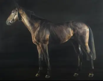 

HIGH QUALITY HAND PAINTED ANIMAL OIL PAINTING ON CANVAS : "HORSE" 24"X36"