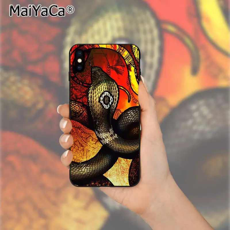 Coral snake animal