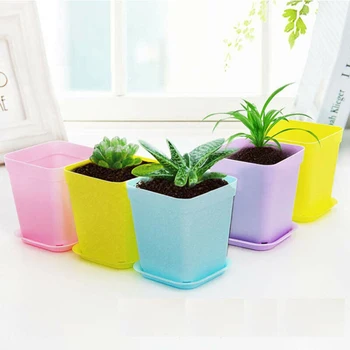 

Home Flower Pot Office Decor Seeds Indoor Multi colored With Tray 18 Sets