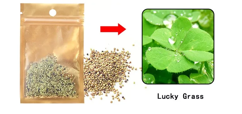 Lucky Grass Для аквариума, растения, украшения, аквариумные растения, водная трава, семена коровьего волоса, любовь, семена Лаки, ландшафтный орнамент, 10 г/30 г - Цвет: Lucky Grass
