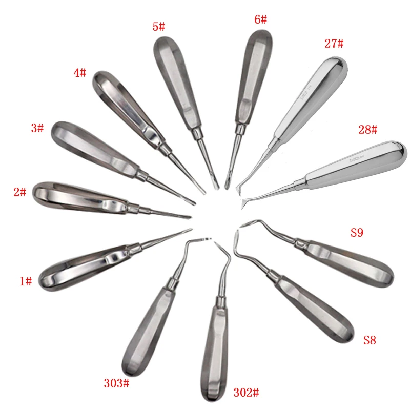 

12 Pcs /set Dental Stainless Steel Surgical Instrument Tools Dental Luxating Lift Elevator Curved Root Hexagon Handle