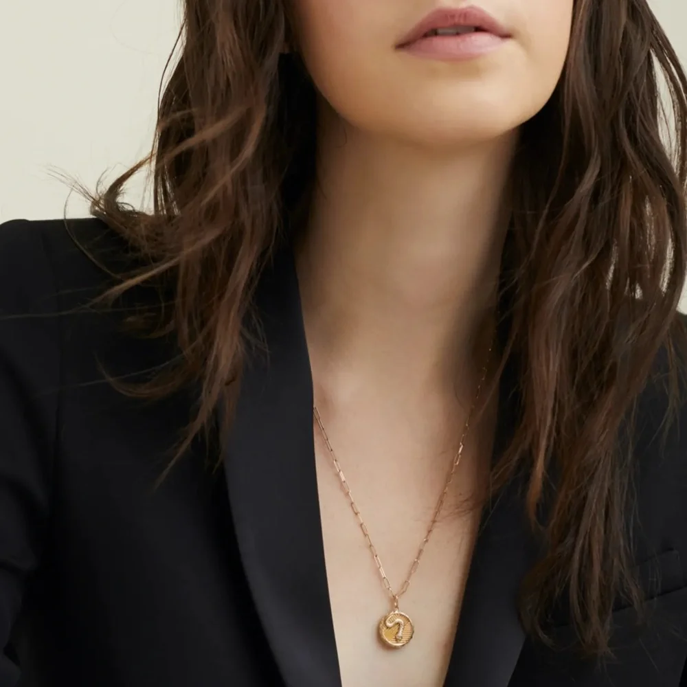 Fashion Gold Plated Snake Coin Pendant Necklace Medallion Necklaces For Women Stackable Stainless Steel Jewelry Accessories