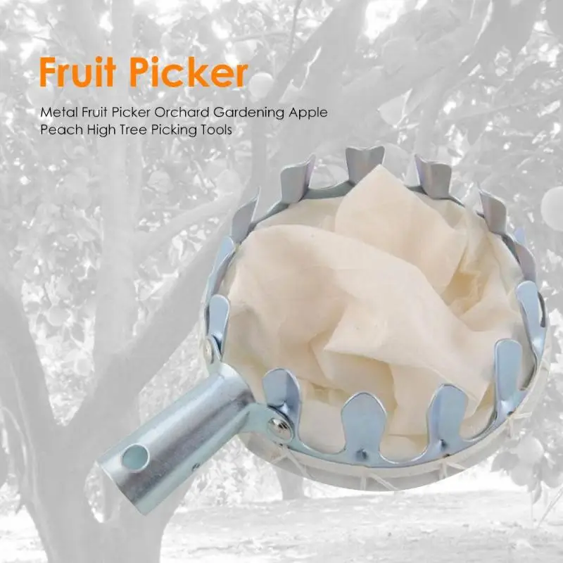 1pcs Fruit Picker Picker Head Metal Fruit Harvesting Tools Fruit Harvest Citrus Apple Peach Pear Hand Gardening Tools 1pcs Fruit Picker Picker Head Metal Fruit Harvesting Tools Fruit Harvest Citrus Apple Peach Pear Hand Gardening Tools