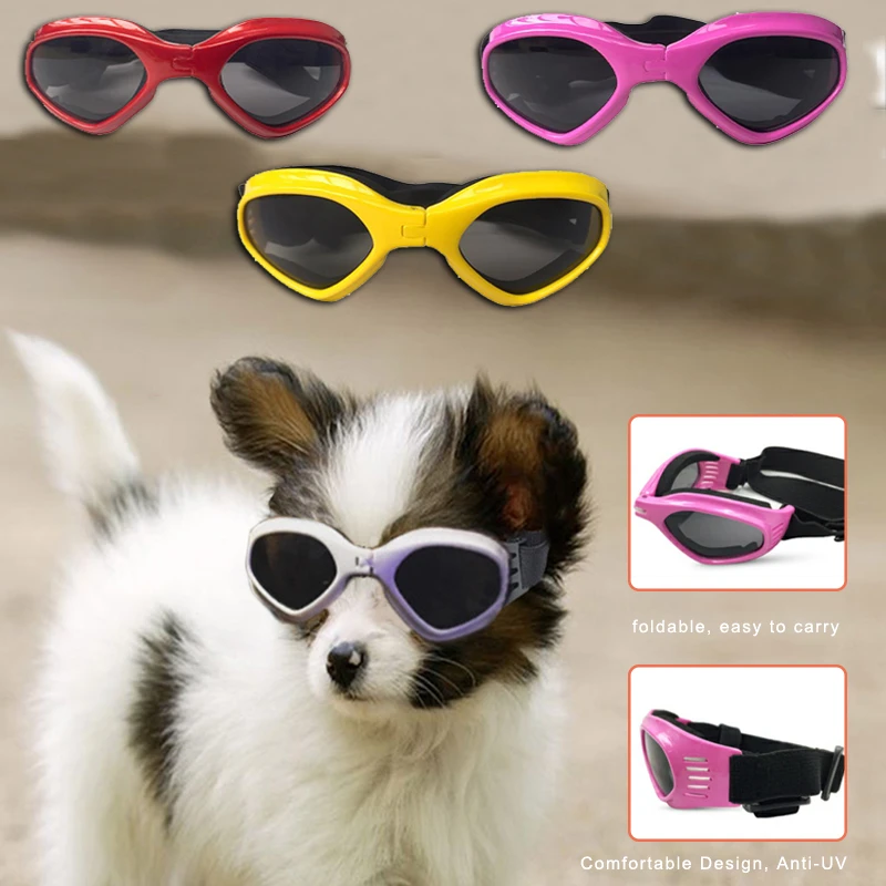 Do Dogs Need Eye Protection From The Sun