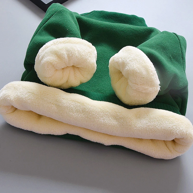 TB2arnpXAfb_uJkHFNRXXc3vpXa_!!1990995404