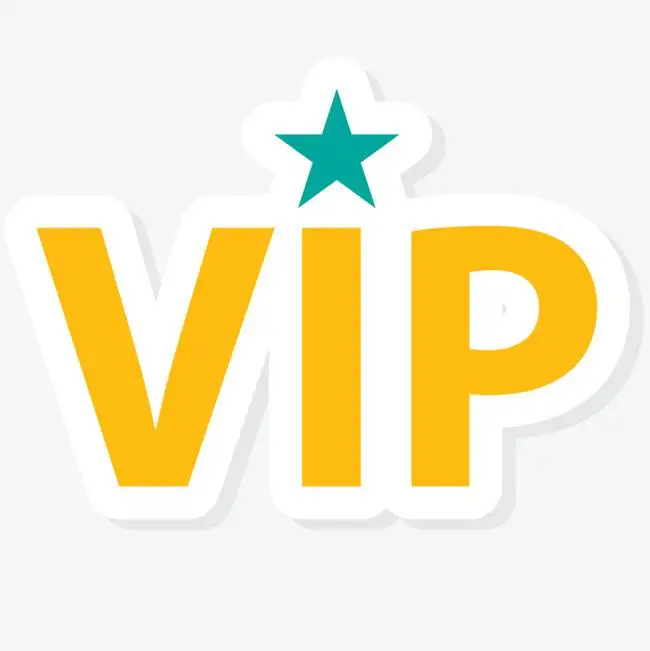 

VIP Payment Link