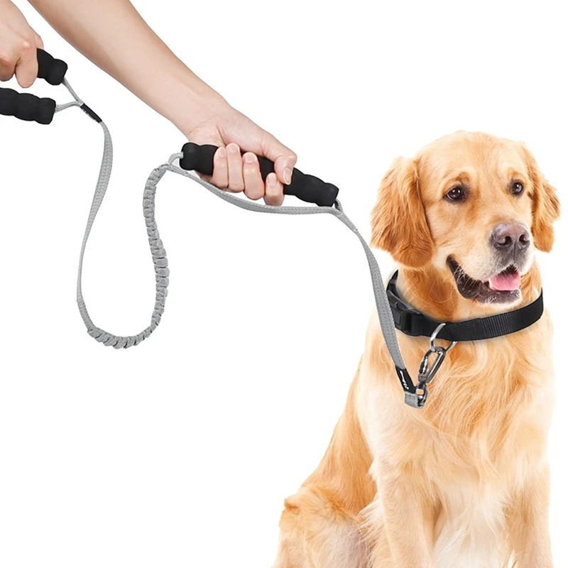Best Dog Walking Elastic Bungee Leash With 2 Control Handles Pet Running Training Leads For Medium Large Dogs German Shepherd DD