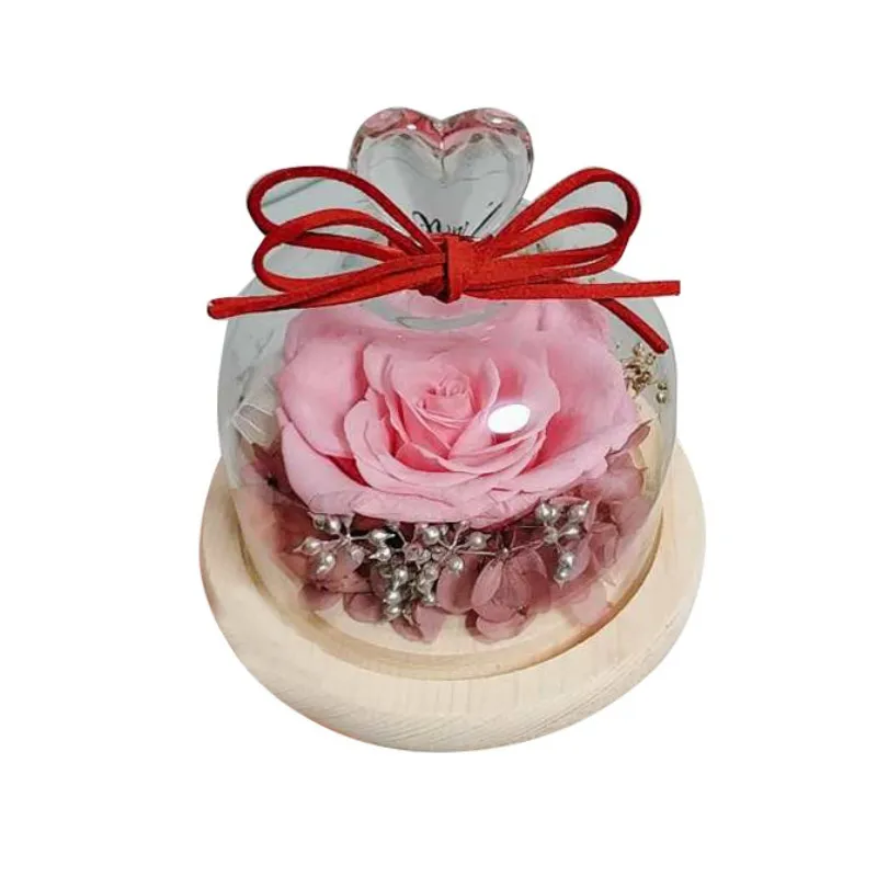 Beauty And The Beast Preserved, Everlasting Flower With Glass Cover Rose In Glass Dome,Mother's Day Gift Valentines Day Gift