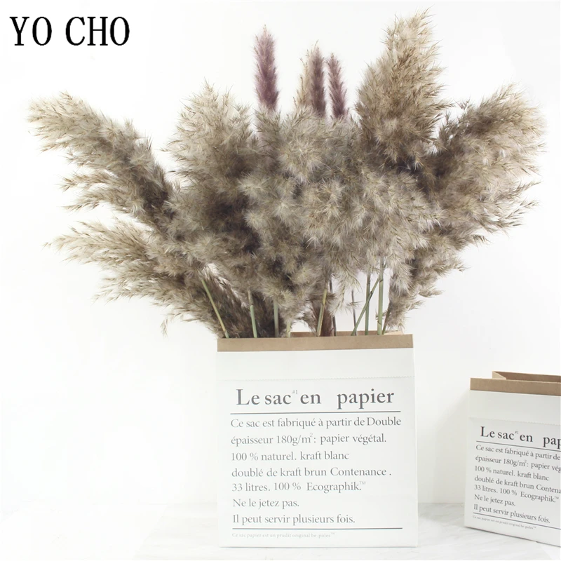 

11 Pcs Natural Dried Flowers Pampas Grass Reed Bulrush Plumes Phragmites Communis Bouquet for Floral Arrangements Home Decor